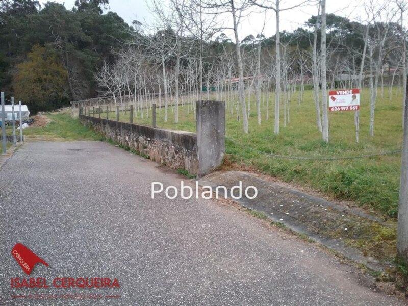 TERRENO DE 1.800 M² EN ZONA ALTA DE O ROSAL - NATURALEZA Y POTENCIAL
