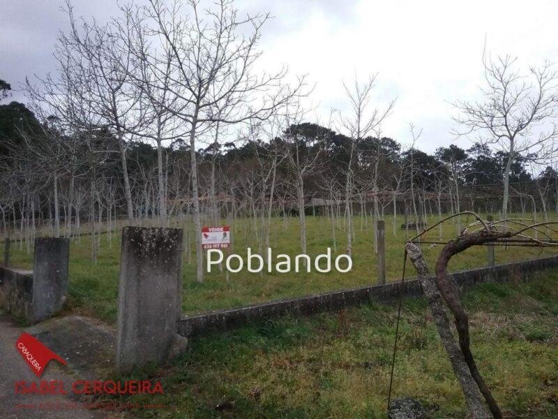 TERRENO DE 1.800 M² EN ZONA ALTA DE O ROSAL – NATURALEZA Y POTENCIAL — foto 6