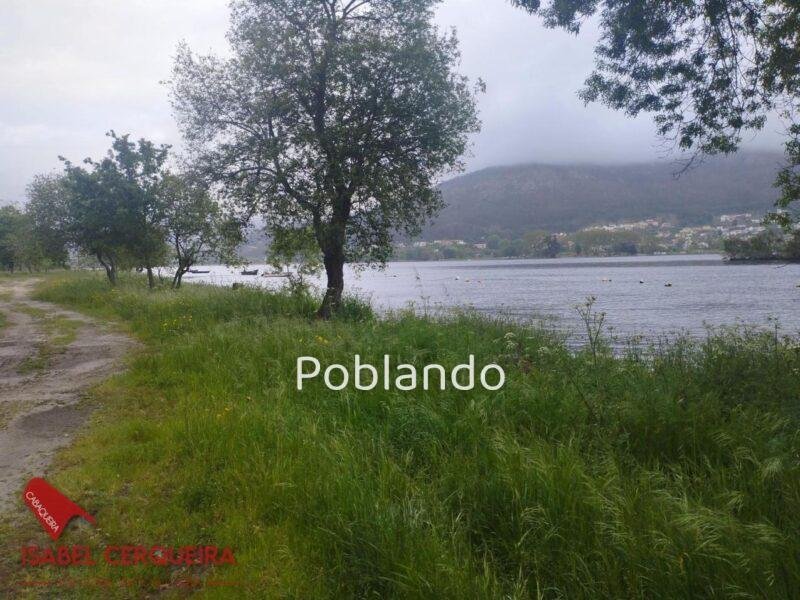 2.108 M² JUNTO AL RÍO MIÑO – UN ESPACIO PRIVADO PARA DISFRUTAR DE LA NATURALEZA Y EL VERANO — foto 8