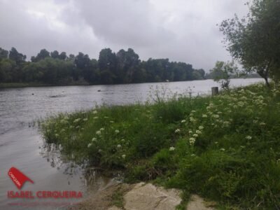 2.108 M² JUNTO AL RÍO MIÑO - UN ESPACIO PRIVADO PARA DISFRUTAR DE LA NATURALEZA Y EL VERANO