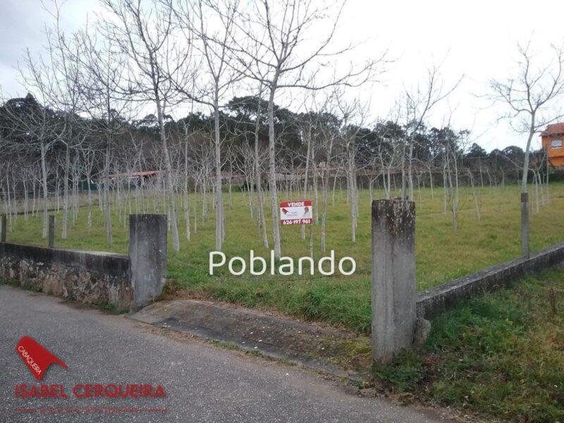 TERRENO DE 1.800 M² EN ZONA ALTA DE O ROSAL – NATURALEZA Y POTENCIAL — foto 1