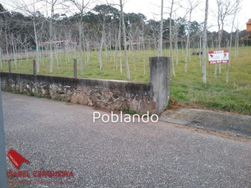 TERRENO DE 1.800 M² EN ZONA ALTA DE O ROSAL - NATURALEZA Y POTENCIAL