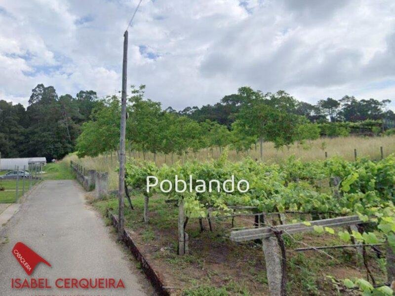 TERRENO DE 1.800 M² EN ZONA ALTA DE O ROSAL – NATURALEZA Y POTENCIAL — foto 3