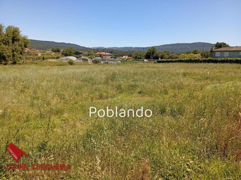 TERRENO URBANIZABLE PREMIUM - OPORTUNIDAD EN O ROSAL
