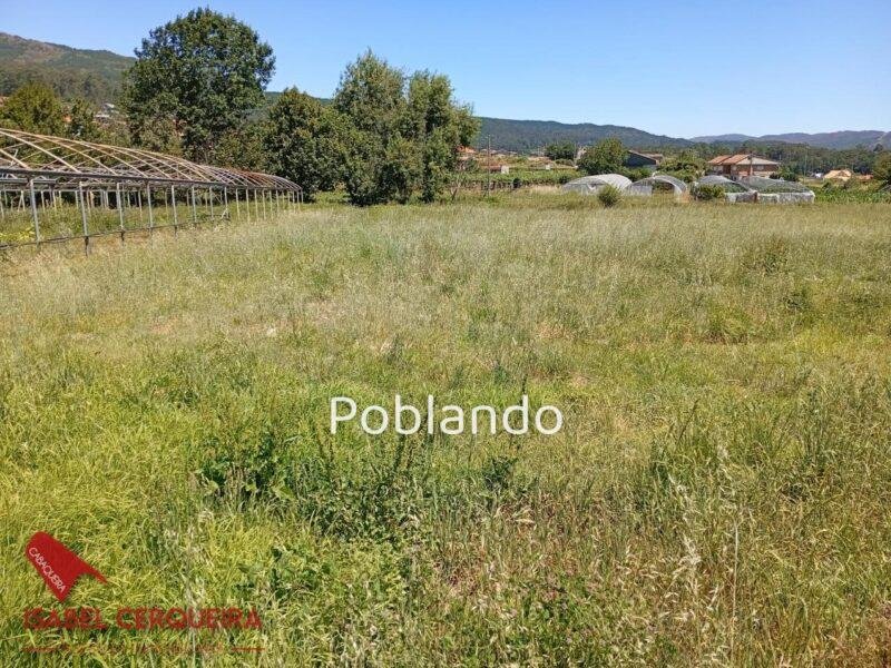 TERRENO URBANIZABLE PREMIUM - OPORTUNIDAD EN O ROSAL