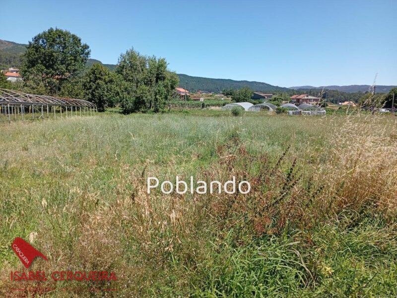 TERRENO URBANIZABLE PREMIUM - OPORTUNIDAD EN O ROSAL