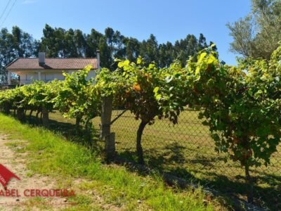 GRAN VIVIENDA EN VALENÇA CON 6.000 m² DE TERRENO - IDEAL PARA CASA RURAL
