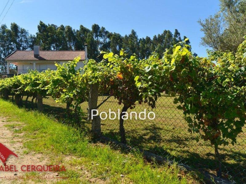 GRAN VIVIENDA EN VALENÇA CON 6.000 m² DE TERRENO – IDEAL PARA CASA RURAL — foto 17