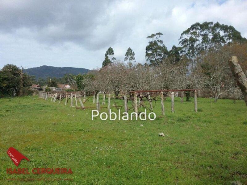 TERRENO EDIFICABLE DE 1.700 M² EN O ROSAL – 300 M² EDIFICABLES PARA CREAR TU PROYECTO — foto 1