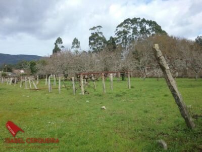 TERRENO EDIFICABLE DE 1.700 M² EN O ROSAL - 300 M² EDIFICABLES PARA CREAR TU PROYECTO
