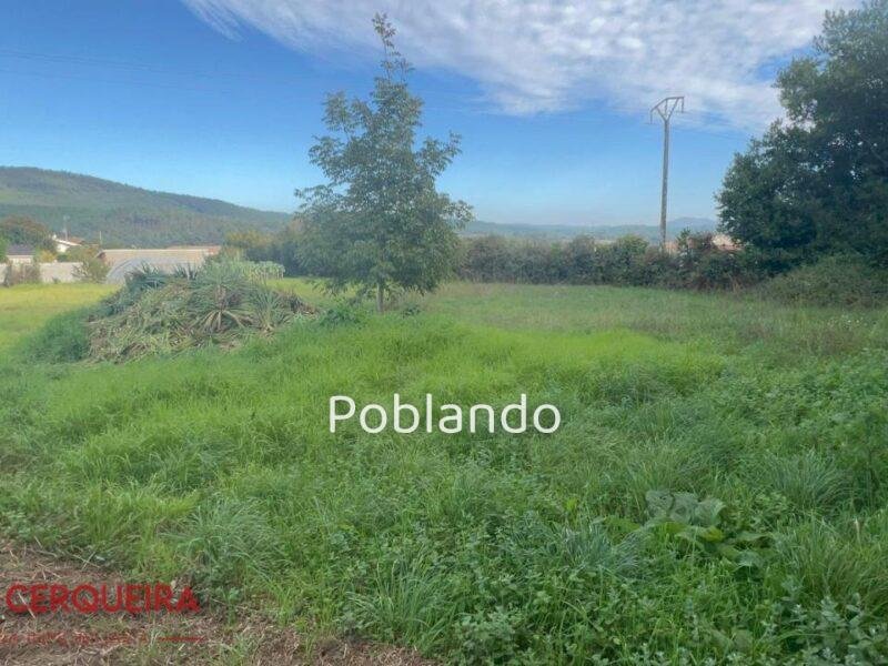 TERRENO DE 1.850 M² CON 500 M² URBANIZABLES – UNA OPORTUNIDAD EXCLUSIVA EN O ROSA — foto 2