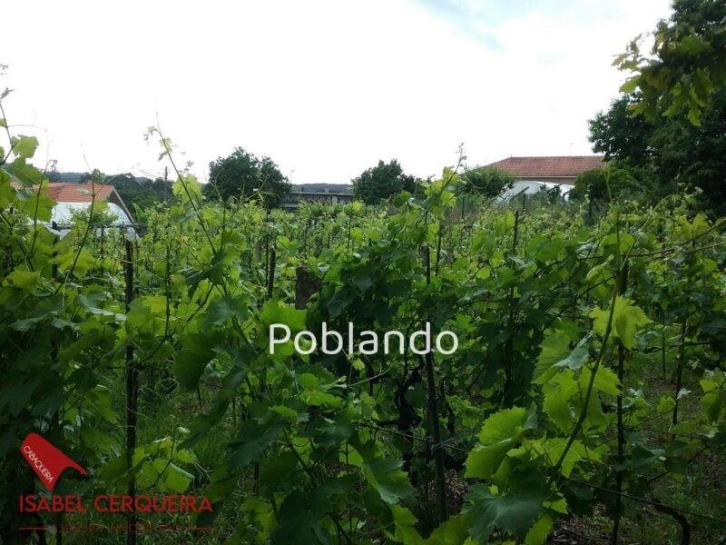 TERRENO EDIFICABLE DE 1.848 M² EN FIGUEIRÓ – TOMIÑO | TOTALMENTE LLANO Y CON EXCELENTES ACCESOS — foto 8