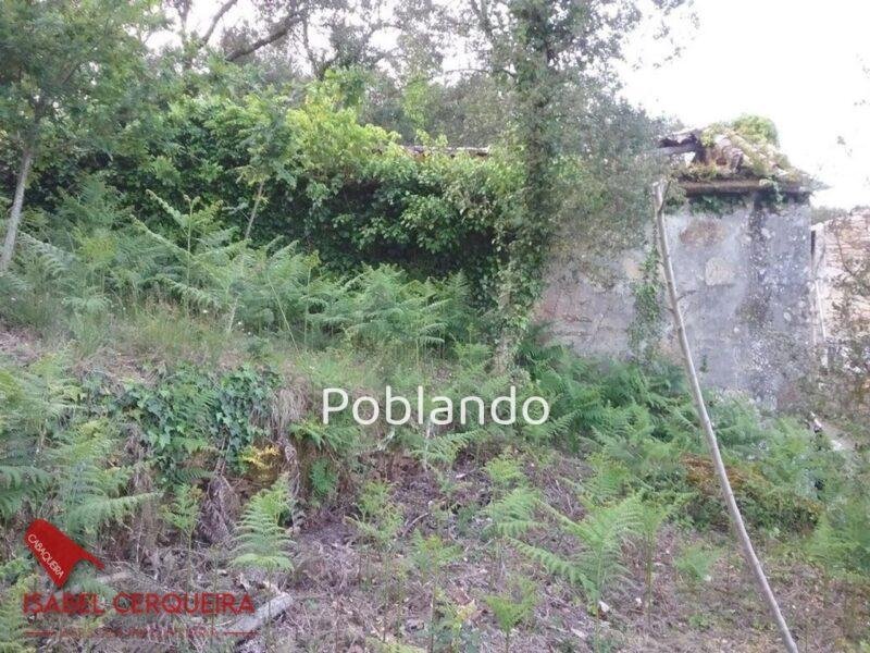 TERRENO DE 2.150 M² CON 600 M² EDIFICABLES Y CASA DE PIEDRA PARA RESTAURAR - ENCANTO GALLEGO Y GRANDES POSIBILIDAD