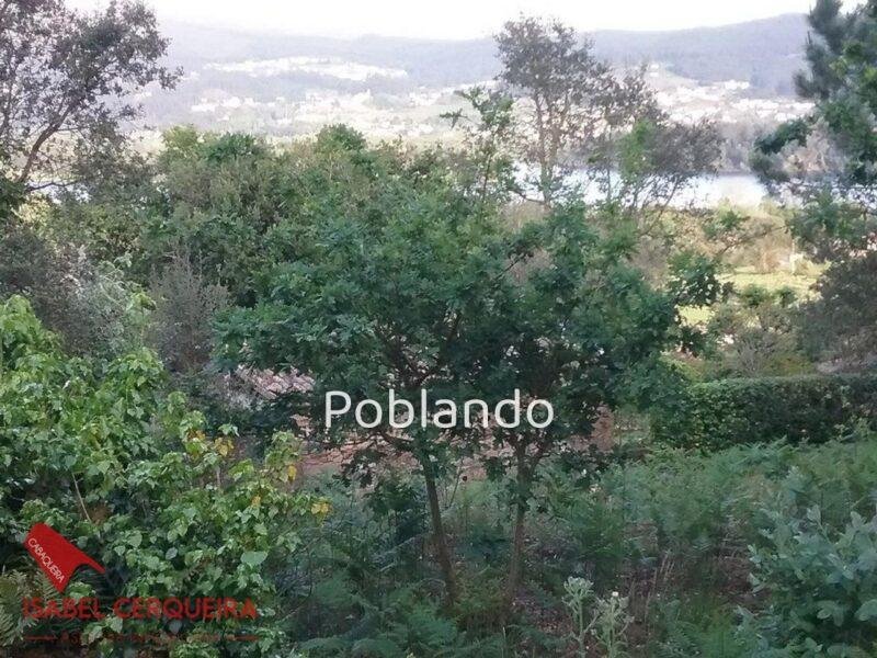 TERRENO DE 2.150 M² CON 600 M² EDIFICABLES Y CASA DE PIEDRA PARA RESTAURAR – ENCANTO GALLEGO Y GRANDES POSIBILIDAD — foto 12