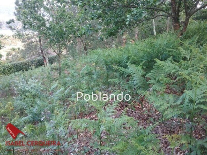 TERRENO DE 2.150 M² CON 600 M² EDIFICABLES Y CASA DE PIEDRA PARA RESTAURAR – ENCANTO GALLEGO Y GRANDES POSIBILIDAD — foto 14