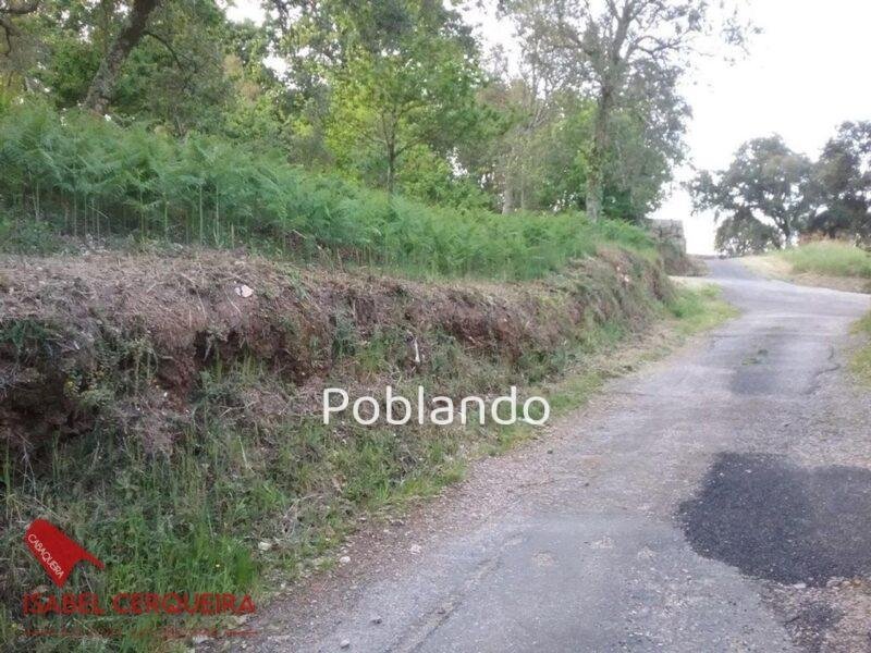 TERRENO DE 2.150 M² CON 600 M² EDIFICABLES Y CASA DE PIEDRA PARA RESTAURAR – ENCANTO GALLEGO Y GRANDES POSIBILIDAD — foto 17
