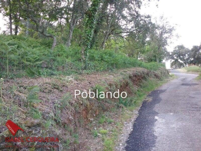 TERRENO DE 2.150 M² CON 600 M² EDIFICABLES Y CASA DE PIEDRA PARA RESTAURAR – ENCANTO GALLEGO Y GRANDES POSIBILIDAD — foto 19