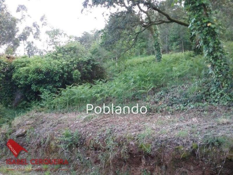 TERRENO DE 2.150 M² CON 600 M² EDIFICABLES Y CASA DE PIEDRA PARA RESTAURAR - ENCANTO GALLEGO Y GRANDES POSIBILIDAD