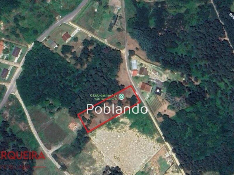 TERRENO DE 3.031 M² CON 1.900 M² URBANIZABLES — foto 3