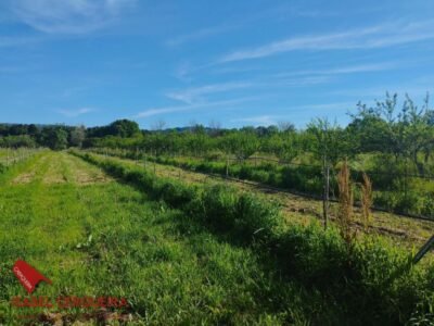 TERRENO AGRÍCOLA NO URBANIZABLE
