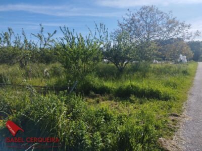 TERRENO AGRÍCOLA NO URBANIZABLE