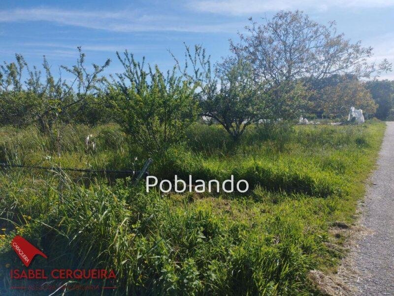 TERRENO AGRÍCOLA NO URBANIZABLE