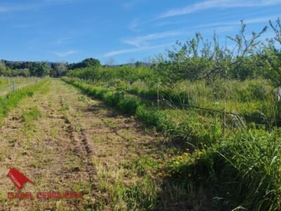 TERRENO AGRÍCOLA NO URBANIZABLE