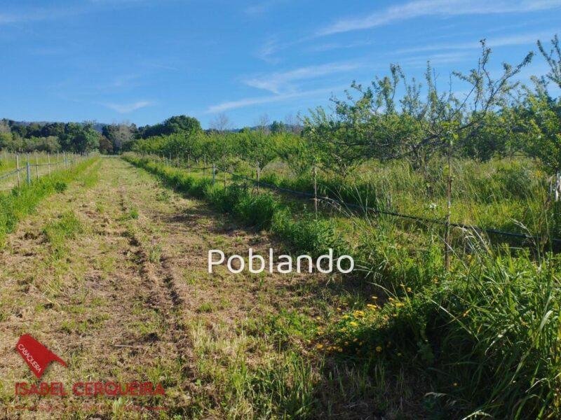 TERRENO AGRÍCOLA NO URBANIZABLE