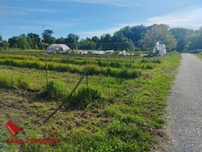 TERRENO AGRÍCOLA NO URBANIZABLE