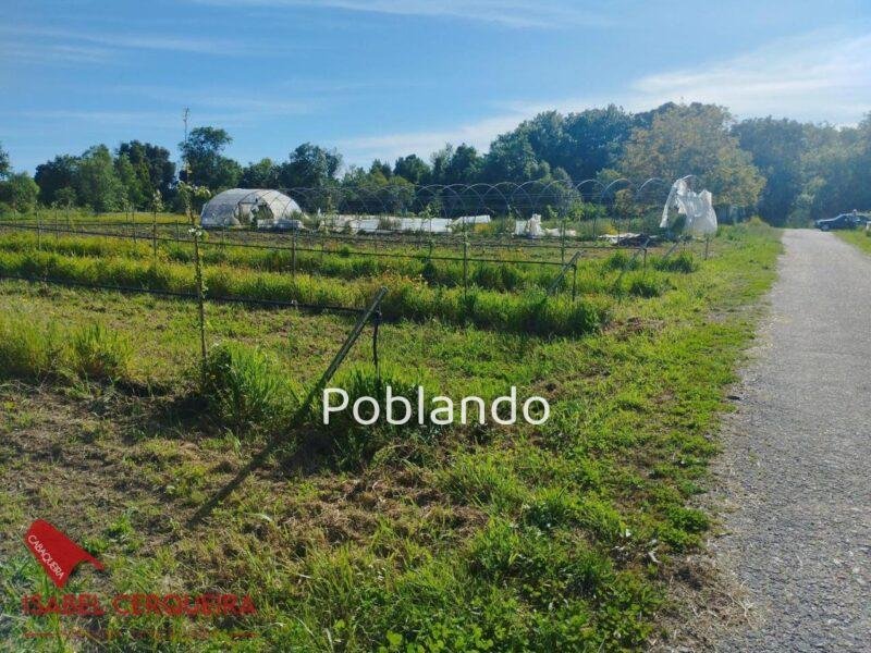 TERRENO AGRÍCOLA NO URBANIZABLE