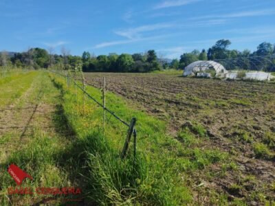 TERRENO AGRÍCOLA NO URBANIZABLE