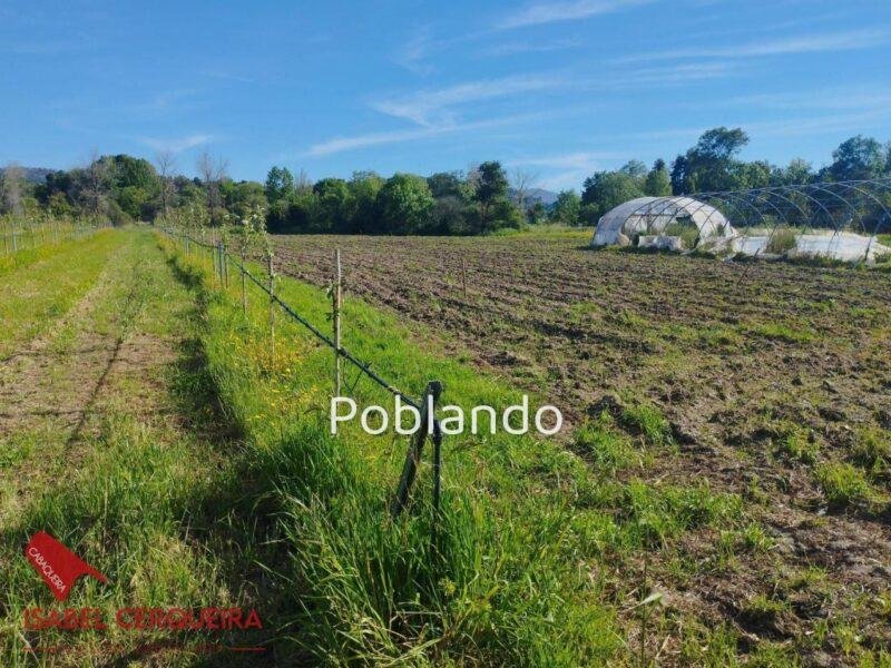 TERRENO AGRÍCOLA NO URBANIZABLE