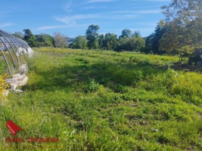 TERRENO AGRÍCOLA NO URBANIZABLE