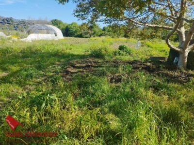 TERRENO AGRÍCOLA NO URBANIZABLE
