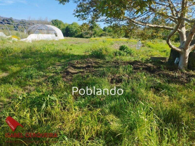 TERRENO AGRÍCOLA NO URBANIZABLE