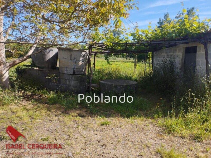TERRENO AGRÍCOLA NO URBANIZABLE