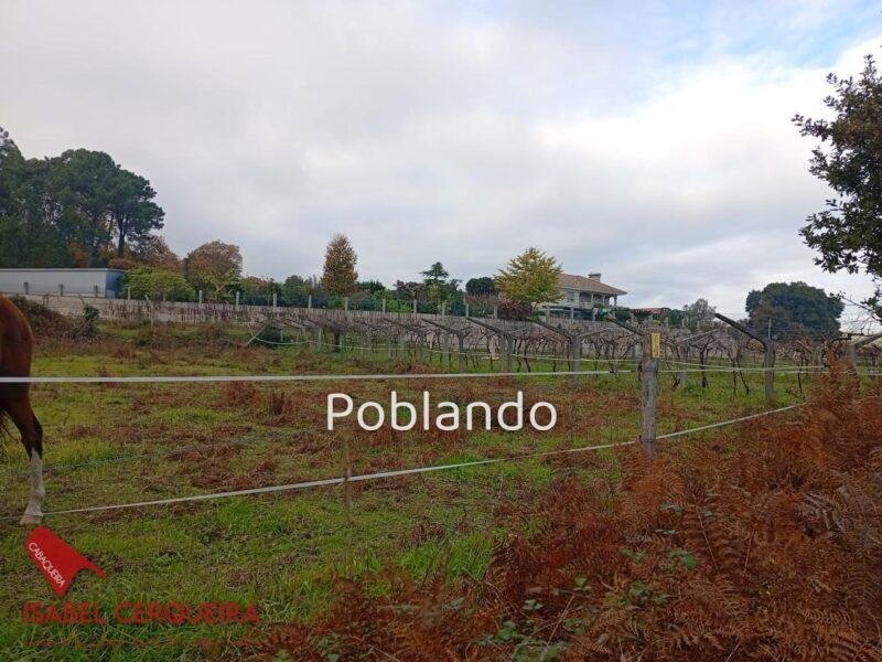TERRENO URBANIZABLE DE 1.288 m² EN TOMIÑO — foto 3