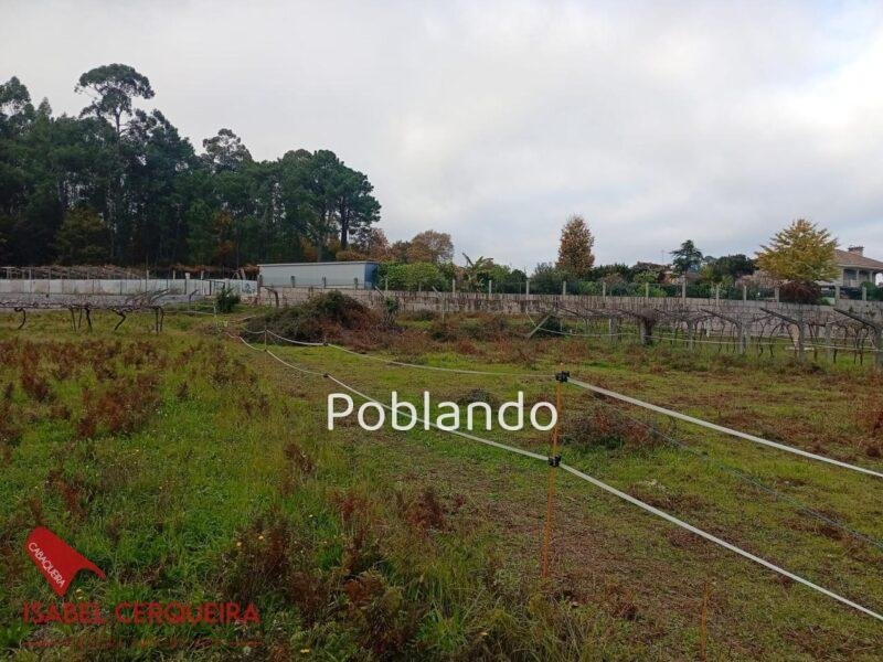 TERRENO URBANIZABLE DE 1.288 m² EN TOMIÑO