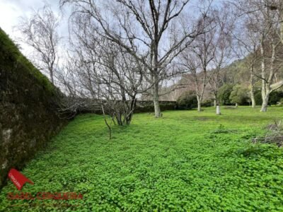CASA CON GRAN FINCA DE 3.743 M² Y VISTAS AL MAR EN A GUARDA - ESPACIO, NATURALEZA Y TRANQUILIDAD