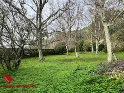 CASA CON GRAN FINCA DE 3.743 M² Y VISTAS AL MAR EN A GUARDA - ESPACIO, NATURALEZA Y TRANQUILIDAD