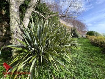 CASA CON GRAN FINCA DE 3.743 M² Y VISTAS AL MAR EN A GUARDA - ESPACIO, NATURALEZA Y TRANQUILIDAD