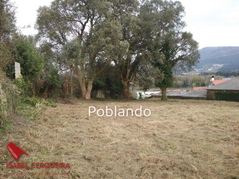 TERRENO EDIFICABLE DE 1.900 M² EN O ROSAL – 800 M² EDIFICABLES A SOLO 700 M DE LA PLAYA DE EIRAS — foto 2