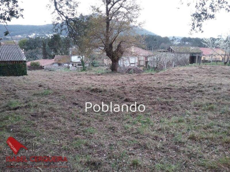 TERRENO EDIFICABLE DE 1.900 M² EN O ROSAL – 800 M² EDIFICABLES A SOLO 700 M DE LA PLAYA DE EIRAS — foto 4