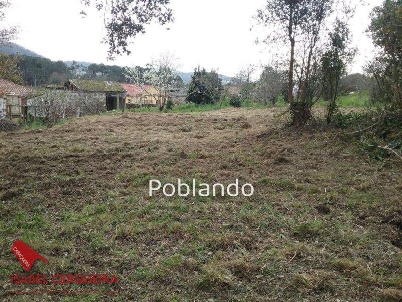 TERRENO EDIFICABLE DE 1.900 M² EN O ROSAL – 800 M² EDIFICABLES A SOLO 700 M DE LA PLAYA DE EIRAS — foto 5