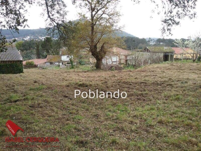 TERRENO EDIFICABLE DE 1.900 M² EN O ROSAL - 800 M² EDIFICABLES A SOLO 700 M DE LA PLAYA DE EIRAS