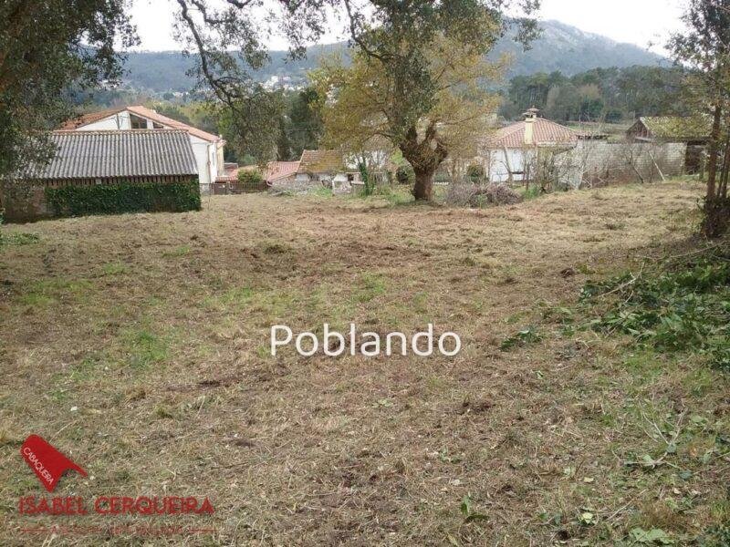 TERRENO EDIFICABLE DE 1.900 M² EN O ROSAL - 800 M² EDIFICABLES A SOLO 700 M DE LA PLAYA DE EIRAS