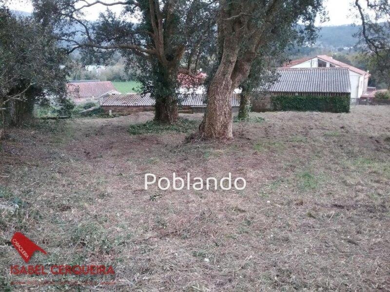 TERRENO EDIFICABLE DE 1.900 M² EN O ROSAL - 800 M² EDIFICABLES A SOLO 700 M DE LA PLAYA DE EIRAS