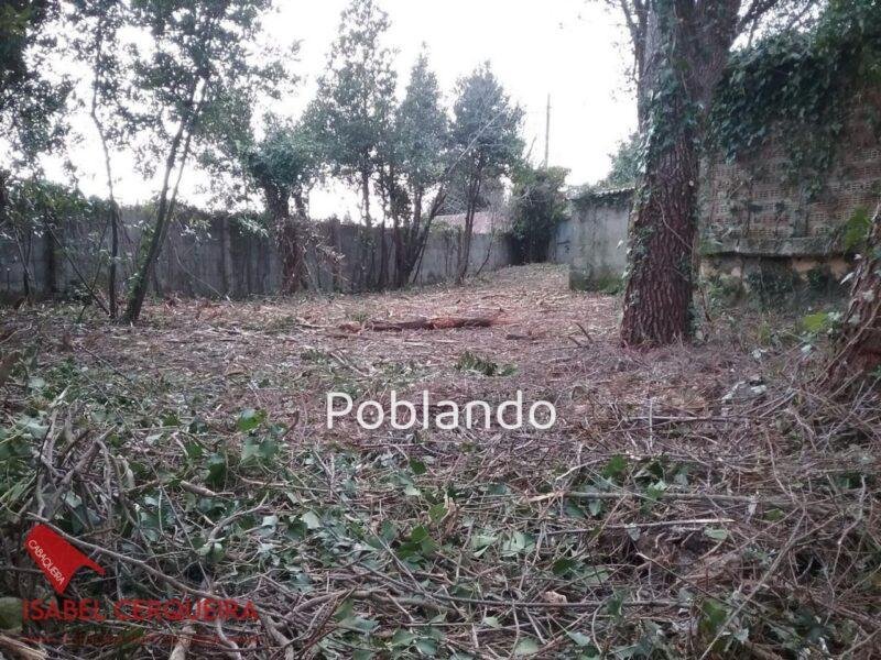 TERRENO EDIFICABLE DE 1.900 M² EN O ROSAL – 800 M² EDIFICABLES A SOLO 700 M DE LA PLAYA DE EIRAS — foto 12