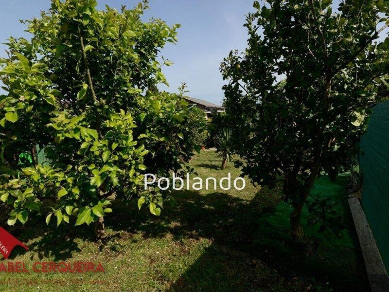 ¡VIVE, EMPRENDE O INVIERTE! CASA DE PIEDRA CON PISCINA Y AMPLIA FINCA EN TOMIÑO