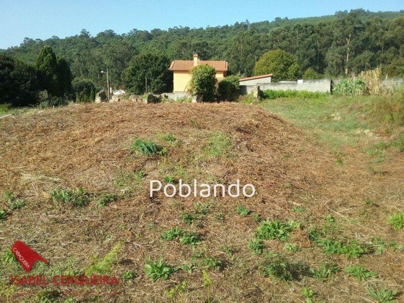 DOS PARCELAS EDIFICABLES EN O ROSAL - BAIXO MIÑO (GALICIA) - TOTAL DE 1468 m²